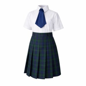 Falda Escolar Plisada a Cuadros Azul y Verde – Uniforme Escolar Clásico