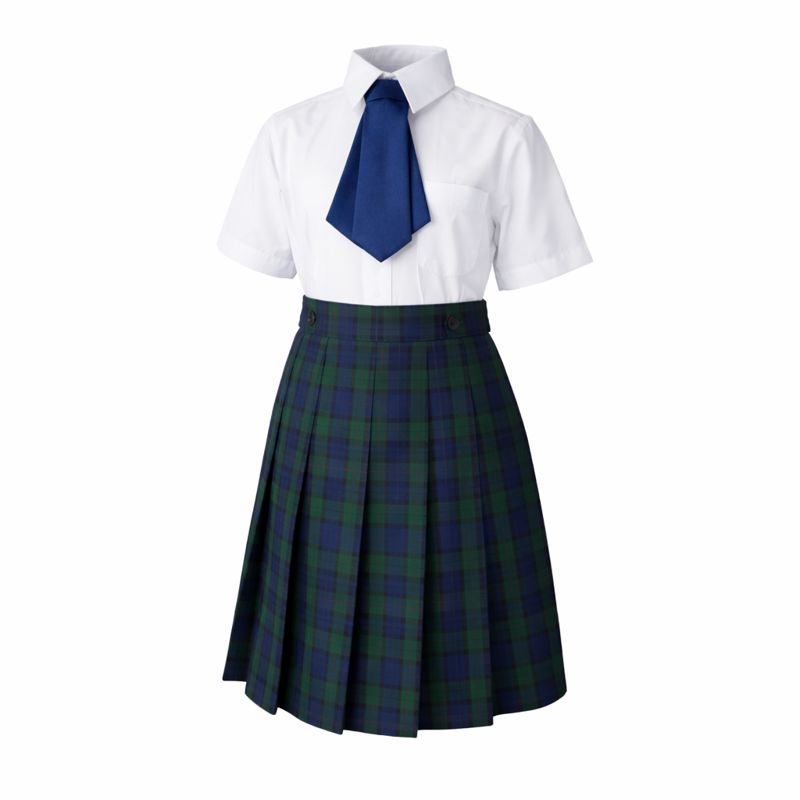 Falda Escolar Plisada a Cuadros Azul y Verde &ndash; Uniforme Escolar Cl&aacute;sico